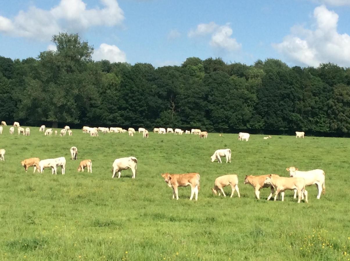 Aux Bois Dores De La Ferme De Sorval, Animaux De La Ferme, Fitness Selvigny المظهر الخارجي الصورة