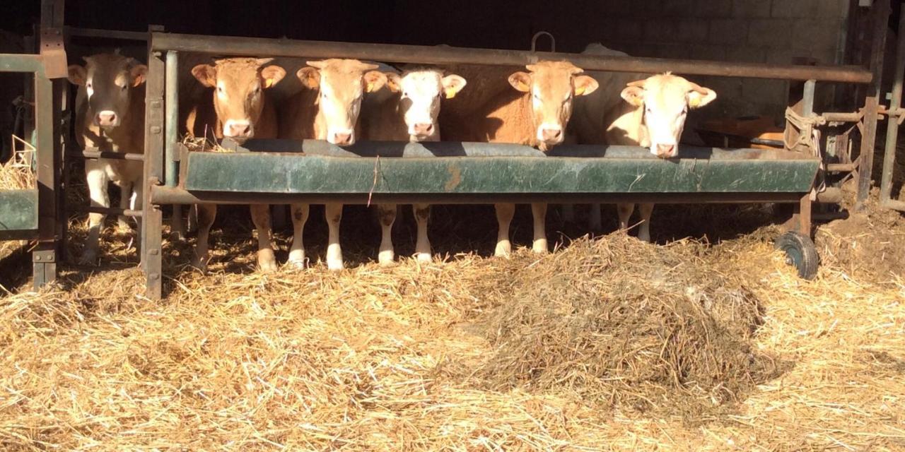 Aux Bois Dores De La Ferme De Sorval, Animaux De La Ferme, Fitness Selvigny المظهر الخارجي الصورة